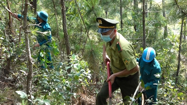 Kiểm lâm Quảng Bình có nhiều giải pháp bảo vệ rừng