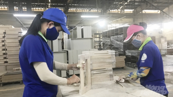Xuất khẩu gỗ sang Trung Quốc tăng trưởng ấn tượng