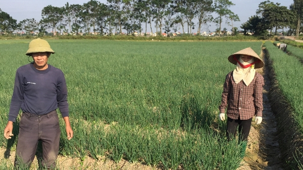 Nghĩ về cán bộ khuyến nông qua loạt bài của Báo Nông nghiệp Việt Nam