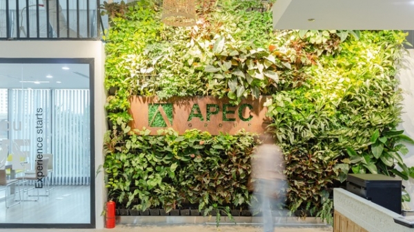 Apec Group bị phạt nặng do vi phạm phát hành trái phiếu