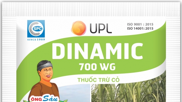 Dinamic 700 WG chuyên trừ cỏ cho đất trồng mía