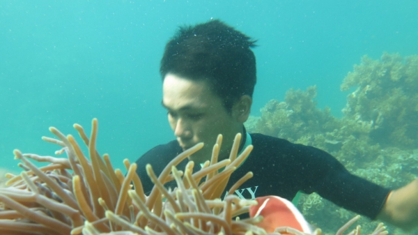 Cả cộng đồng hợp sức bảo vệ, phục hồi hệ sinh thái san hô