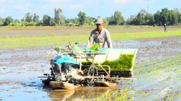 Ghi dấu nhiều tiến bộ của nông dân canh tác lúa ở ĐBSCL