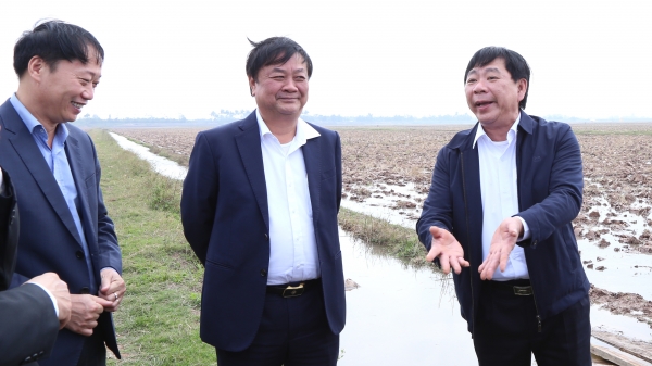 Gợi mở của 'tư lệnh' ngành nông nghiệp cho quê lúa Thái Bình