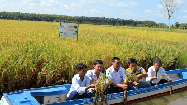 Nông nghiệp sinh thái - Lựa chọn cho nông nghiệp Việt Nam