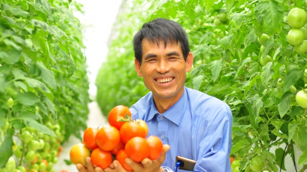 Lâm Đồng đẩy mạnh mô hình nông nghiệp công nghệ cao