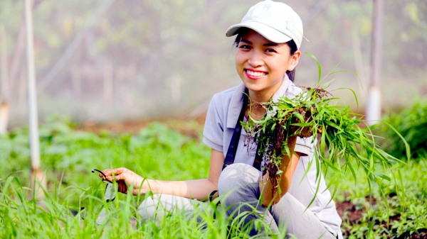 Người trẻ bén duyên nông nghiệp xanh: Cô gái nhỏ cứng đầu