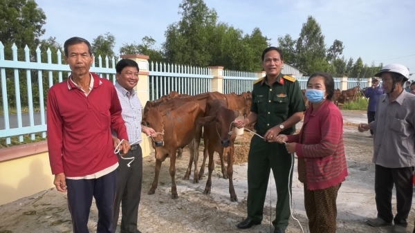 Tặng 200 bò cái giống lai Sind cho hộ khó khăn vùng biên giới