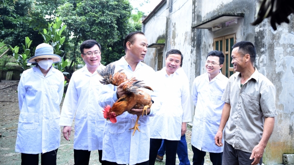 Chủ tịch tỉnh Bắc Giang: Xem xét tái lập hệ thống thú y