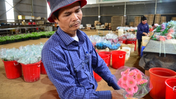 Tâm thư của 'ông nông dân 600 tỉ' gửi Bộ trưởng Lê Minh Hoan