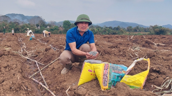 Xây dựng 'cẩm nang' sử dụng đất nông nghiệp xứ Thanh