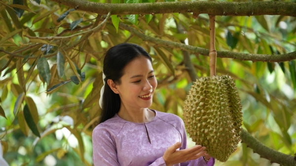 Danh sách chi tiết 51 mã vùng trồng sầu riêng được xuất khẩu sang Trung Quốc