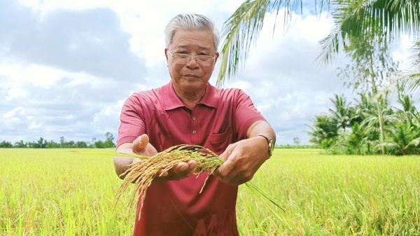 IRRI: Kết thúc 10 năm sứ mệnh thu hẹp khoảng cách năng suất lúa gạo