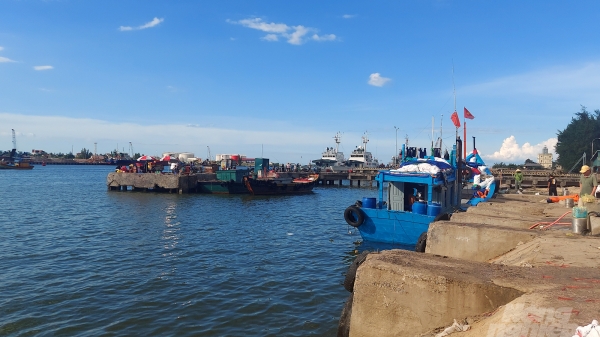Cảng cá chậm tiến độ, Quảng Trị 2 lần 'cầu cứu' Chính phủ