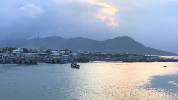 Đa số ngư dân chưa đồng thuận di dời tàu thuyền tại cảng cá Quy Nhơn