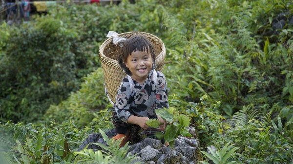 Chương trình Không còn nạn đói nâng cao chất lượng đời sống người dân