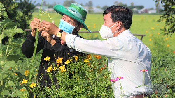 Bảo vệ thực vật là bảo vệ sức khỏe 100 triệu người dân Việt