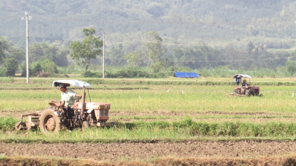 Phú Yên: Nông dân xuống đồng sớm, chuẩn bị vụ đông xuân