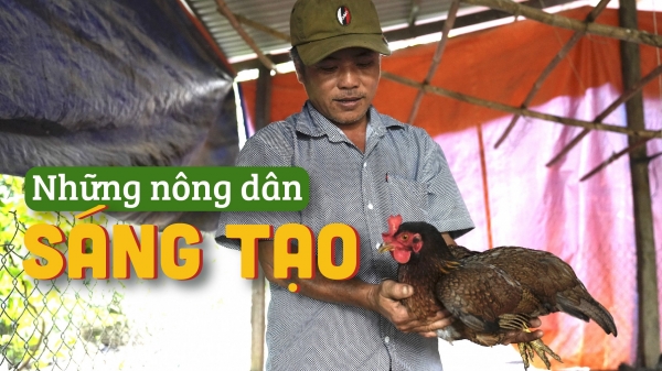 Người nuôi ngan Pháp, gà thịt ngon nhất Lộc Thuận