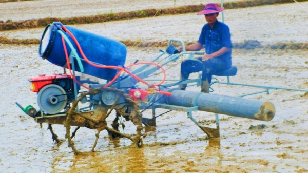 Bình Thuận tập trung giải pháp giảm chi phí sản xuất vụ đông xuân
