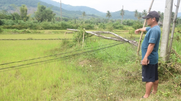 Dân xóm Sơn Lâm Nam đã có lưới điện an toàn