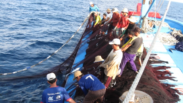 Học nghề lưới vây cá ngừ sọc dưa từ ngư dân Nhật Bản