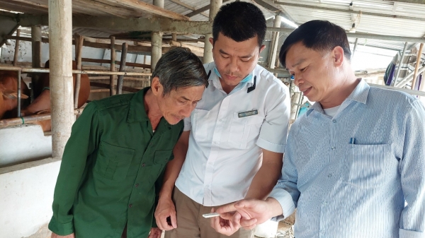 Quảng Trị: Tín hiệu tích cực về kiểm soát chất cấm trong chăn nuôi