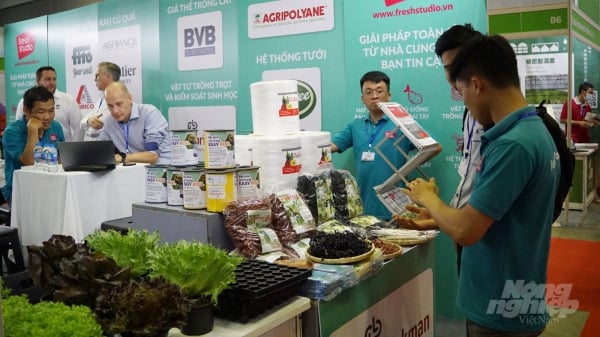 Việt Nam – Hà Lan chung tay phát triển ngành rau hoa quả bền vững