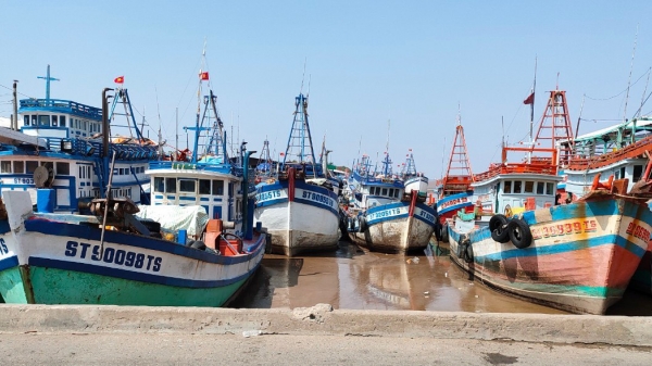 Quyết tâm chống khai thác hải sản bất hợp pháp