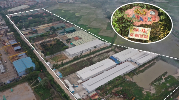 Thu hồi gần 70.000 m2 đất ruộng để sử dụng sai mục đích