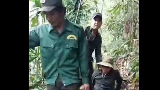 Bảo vệ rừng bị thương nặng khi truy quét 'lâm tặc'