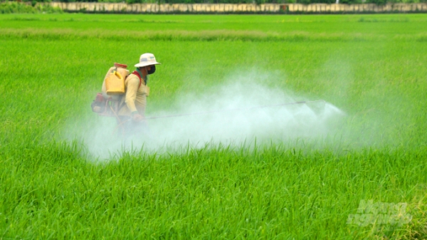 Sử dụng thuốc BVTV có trách nhiệm để nâng tầm hình ảnh lúa gạo Việt Nam