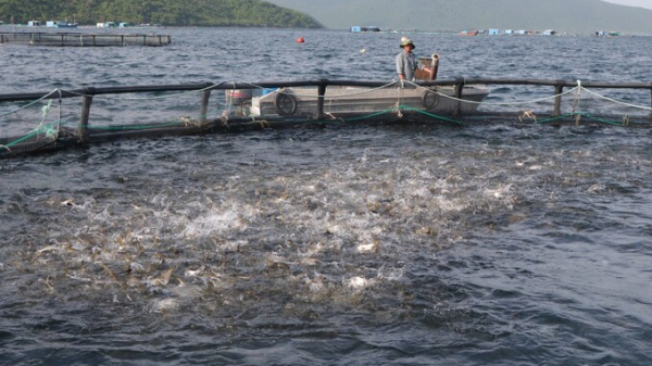 Quy hoạch nuôi trồng thủy sản nhờ công nghệ viễn thám