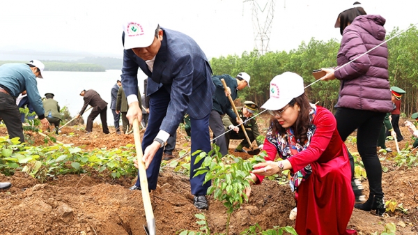 Quảng Bình nô nức phát động 'Tết trồng cây đời đời nhớ ơn Bác Hồ'
