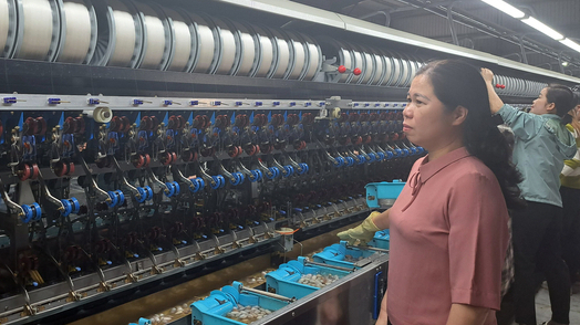 Nhà máy ươm tơ hoạt động, ngành dâu tằm Yên Bái thời cơ xán lạn