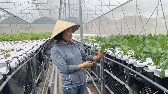 Bà Rịa - Vũng Tàu: Sôi động nông nghiệp thông minh