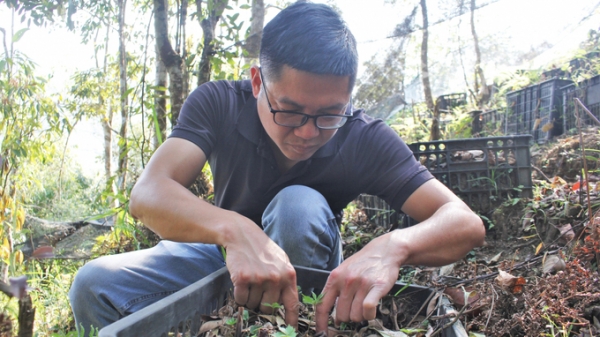Cơ hội đổi đời nhờ 'báu vật' dưới tán rừng Lai Châu