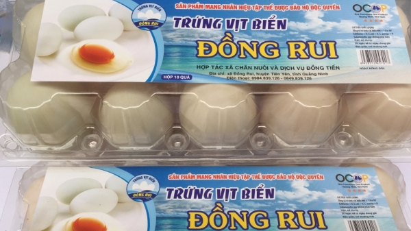 Trứng vịt biển Đồng Rui hướng tới chế biến ăn liền và xuất khẩu