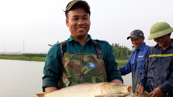 Khuyến nông Nghệ An khai thác hiệu quả nguồn vốn quốc tế