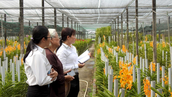 30 năm Khuyến nông Việt Nam: Hành trình đầy tự hào