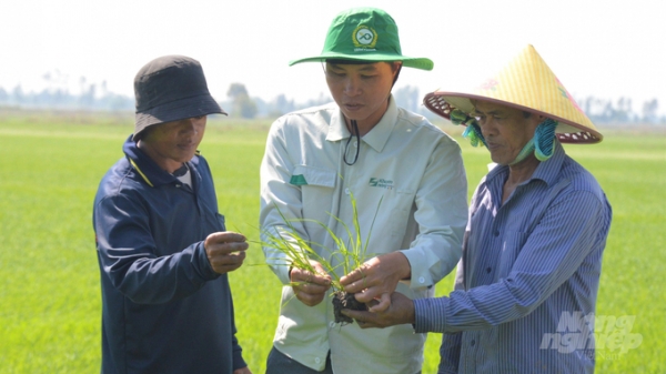 Khuyến nông Việt Nam: Thông điệp tuổi 30 - niềm tin và trách nhiệm