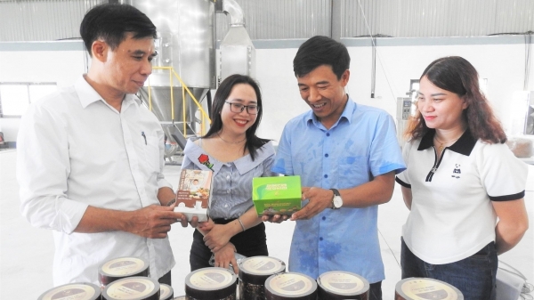 Doanh nghiệp đầu tiên chế biến sâu lúa gạo ở Hà Tĩnh