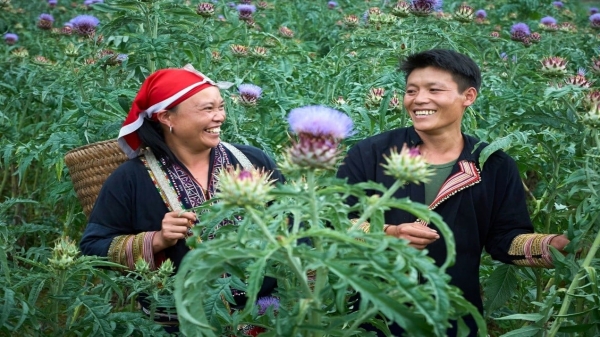 Khuyến nông Lào Cai: Thay đổi nhỏ, kết quả lớn