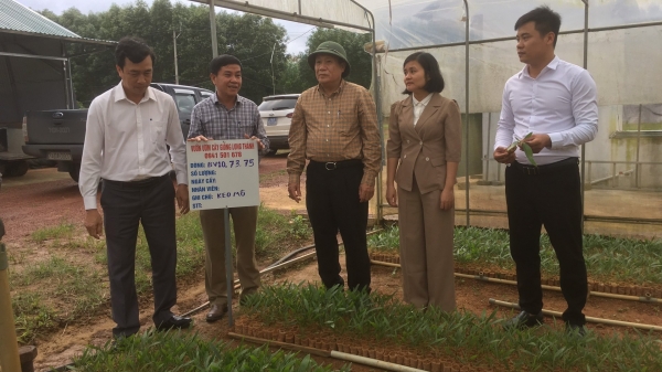 Kiểm tra các mô hình nông nghiệp công nghệ cao của Quảng Trị