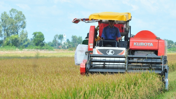 Phát triển nông nghiệp, nông thôn gắn với Đề án 1 triệu ha lúa