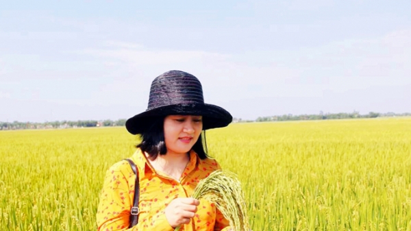 Dự án 'Cải thiện nông nghiệp có tưới' tại Quảng Trị: Thành công ngoài mong đợi