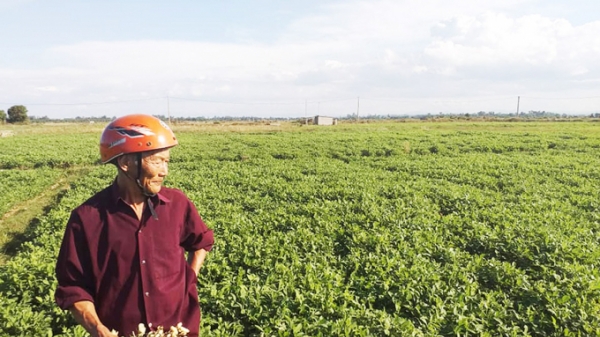 Quảng Trị: Hướng đến nền nông nghiệp thích ứng với biến đổi khí hậu