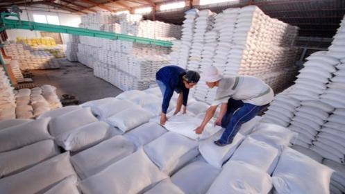 360.000 tấn gạo và 86.000 tấn lúa dồn ứ tại Cần Thơ