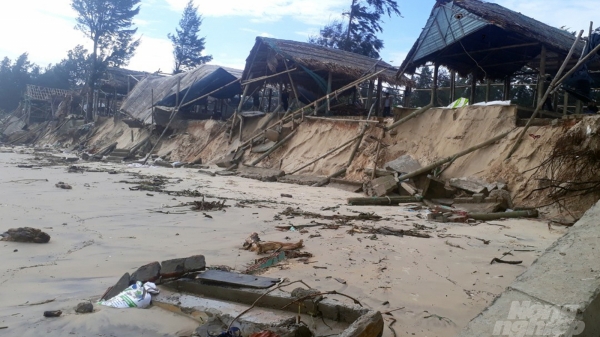 Quảng Trị: Sóng biển đánh tan hoang bãi tắm cộng đồng Gio Hải