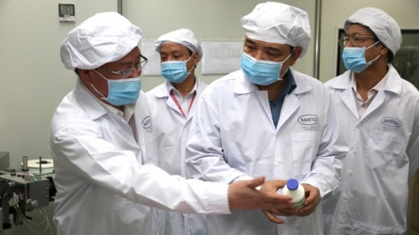 Sắp có vacxin dịch tả lợn châu Phi 'made in Việt Nam'